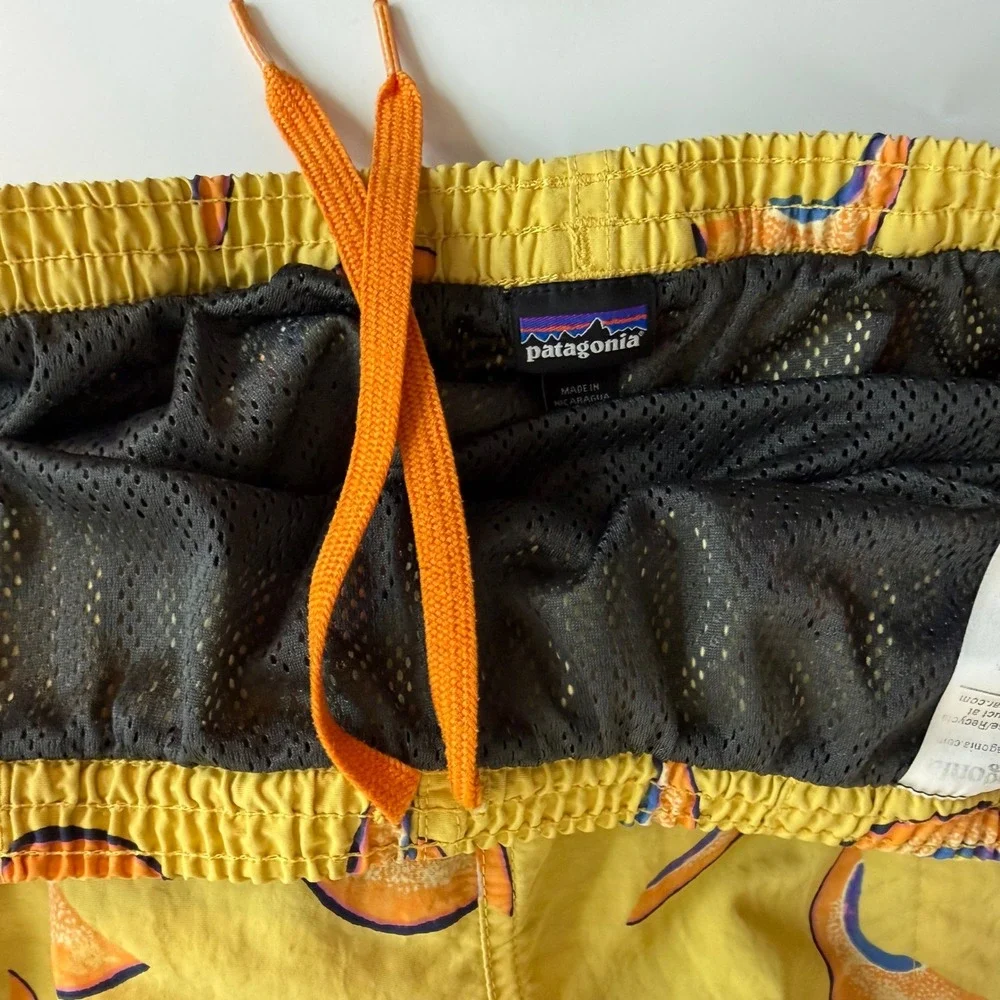 Patagonia baggies shorts